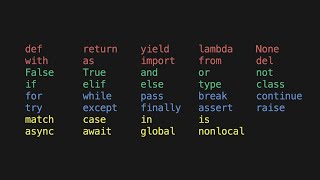Every Python Keyword Explained [upl. by Harat]