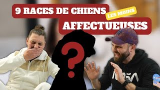 Vous aimez les câlins  NE PRENEZ PAS ces races de chiens [upl. by Eelitan]