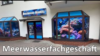 Meerwasseraquaristik Berlin Zu Besuch bei Meerwasser Wandlitz [upl. by Hilel]