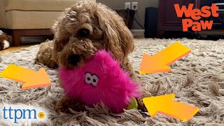 Puppies Review Squeaky Dog Toys From West Paw Dog Toys  TTPM Pet Reviews [upl. by Aecila906]