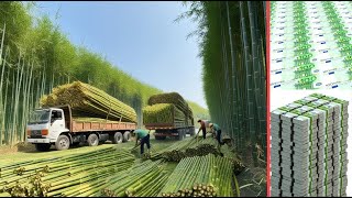 Bamboo Paper Production Process How Are New 100€ Banknotes Made [upl. by Woodsum]