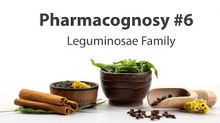 6 Leguminosae Family  Pharmacognosy [upl. by Angelia]