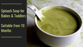 Spinach Soup Recipe for Babies Toddlers and Kids Palak Soup Keerai Soup [upl. by Bravin]