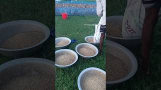 Duck feed formula amp making duck feed [upl. by Pitarys]