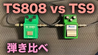 Ibanez TS9 vs TS808 同じTubeScreamerでも音が違うのか [upl. by Wendalyn457]