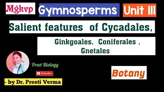 Salient features of Cycadales Ginkgoales Coniferales and Gnetales ll Gymnosperms ll Botany [upl. by Ignaz693]