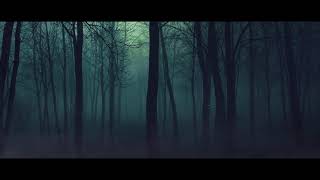 Dark Forest [upl. by Ilka]