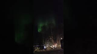 Northern Lights in Ivalo Finland [upl. by Nwotna80]