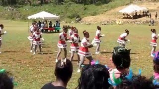 Aggrey house cheerleading routine 2016 [upl. by Montfort334]