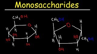 Monosaccharides  Glucose Fructose Galactose amp Ribose  Carbohydrates [upl. by Ytirahc648]