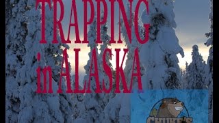 Starting a Trapline in Alaska [upl. by Nihs720]