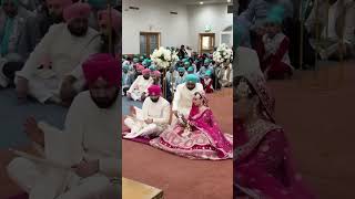 Punjabi wedding punjabiweddinghighlights punjabi bestpunjabiwedding punjabisong [upl. by Yvon]