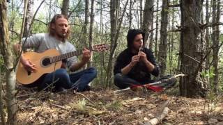 Woodnitza  Isara Eluveitie Cover Tin Whistle amp Acoustic Guitar [upl. by Malia]