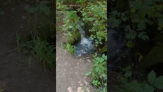 40 Second Water falls and creek sounds [upl. by Crary]