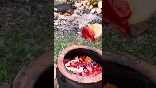 Beef Stew  Camp Food  Natural Therapy camping campinglife nature forest cooking [upl. by Nevai818]