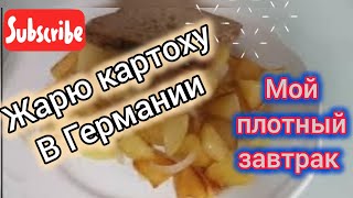 Плотный завтрак и поболтал и приготовил германия жизньвгермании survivalsergejlife [upl. by Napoleon]