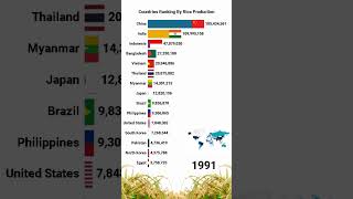 Top Rice Producing Countries Per Year 19612023 ranking [upl. by Inalak]