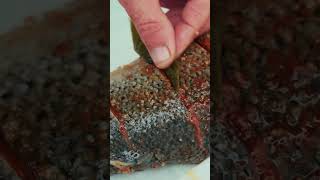 WildernessCooked Salmon Salt Recipe Taste Like Never Before [upl. by Xylina]