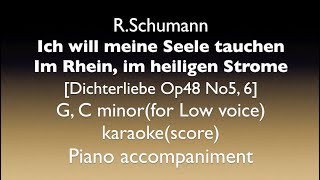 Dichterliebe Op48 No5 6  R Schumann G C minorLow voice Piano accompaniment karaoke [upl. by Florentia]