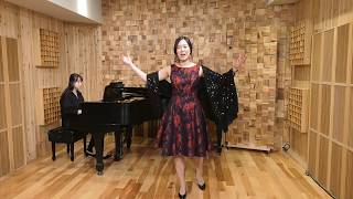 Klänge der Heimat Csardas Die Fledermaus by J Strauss II Lyric soprano Jaeyeon Kim [upl. by Nylzor]