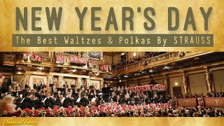 Wien Classics  NEW YEARS DAY CONCERT  The Best Waltzes amp Polkas By Strauss [upl. by Ehsiom]