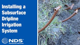 How to Install a Subsurface Dripline Irrigation System  NDS Professional Irrigation [upl. by Pall]