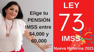 LEY 73 Modalidad 40 Elige tu PENSIÓN IMSS entre 4000 y 60000 [upl. by Jonette92]