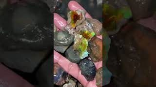 15kg non hydrophane opal [upl. by Daht]