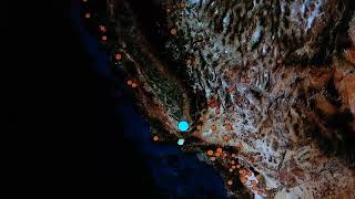 53 Earthquake California 30 Quakes now After This One amp Ongoing Watch For A Foreshock 872024 [upl. by Rossie352]