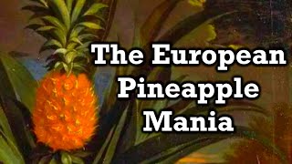 The Bizarre History of Pineapples [upl. by Sulrac]