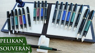 Pelikan Souverän Collection Overview  A True Icon in Writing  Available at Appelboom [upl. by Iarised]