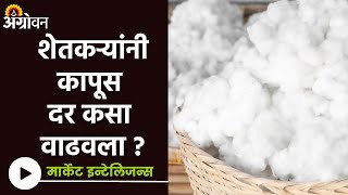 Cotton Market  देशातील कापूस दर आंतरराष्ट्रीय बाजारपेक्षा जास्त  Agrowon  ॲग्रोवन [upl. by Airotal]