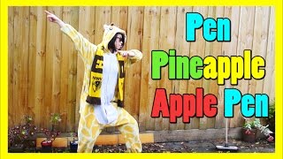 Pen Pineapple Apple Pen PARODY  PPAP Chinese version  《筆鳳梨蘋果筆》中文版  by Fobulous TV [upl. by Kubiak60]