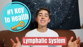 The Key to Health and Detox 🔑 Lymphatic System [upl. by Wit869]