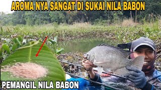 WAJIB DI COBA  Campuran lumut Untuk Mancing Nila BABON [upl. by Dickey]