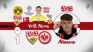 BVB 01 VfB 💪 Stuttgart international 🏆 VfB News mit Nübel 🧤😍 VfB vs Frankfurt ⚪🔴 [upl. by Ahtoelc348]