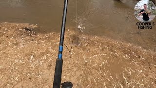 Fishing in the Campaspe River near Echuca [upl. by Noissap331]