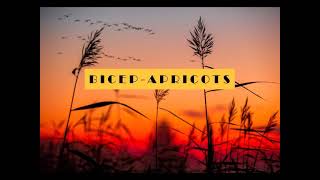 Bicep  Apricots 1 Hour [upl. by Corilla]