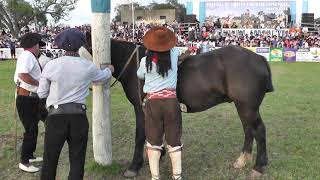 Monta Especial Ramón Cordoba CamperoTv 🤠🐴🧉🇦🇷🌳 [upl. by Laughry16]