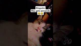 Meu gato pensando 😂😂video shorts [upl. by Aiker680]