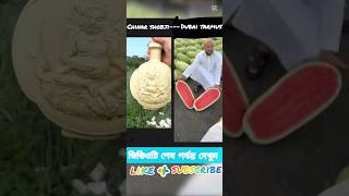 Chinar shobjiDubai tarmusamazingfacts viralvideo viralshorts china bubai [upl. by Sascha]