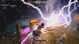 Skyrim SE  The Wizard Warrior  Fight in Avanchnzel [upl. by Eatnahs]