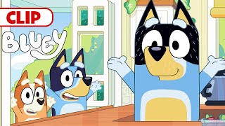 Bluey Season 3 Episode 5 quotBorn Yesterdayquot Episode Clip  disneyjr  BlueyOfficialChannel [upl. by Alinoel338]