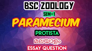 BSC ZOOLOGYPARAMECIUMPROTISTAFIRST YEARSEM1KU [upl. by Enhpad348]