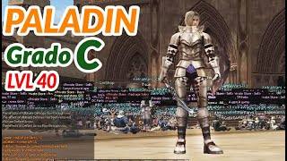 Guia de Paladin 4052 Grado C Epic Lineage 2 [upl. by Lot128]