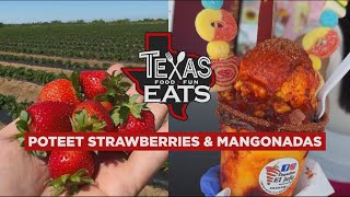 Texas Eats Poteet Strawberries Mangonadas and a Sweet Onion Bacon Dip Recipe [upl. by Charlton]