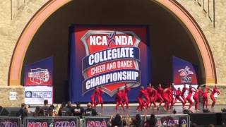 University of Louisville Ladybird Dance Team 2016 NDA National Champions [upl. by Melodie]