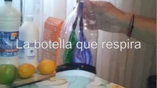 La botella que respira  Respiración pulmonar Experimentos Caseros [upl. by Yesor]