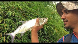 Catching Tarpon and Snook at Frederiksdorp  Suriname [upl. by Anzovin]