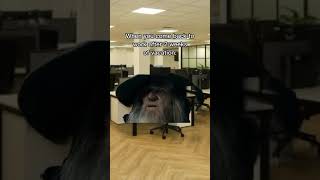 Hilarious Lord of the rings meme lordoftheringsedit [upl. by Norrehc]